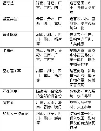 关于我们 第210页